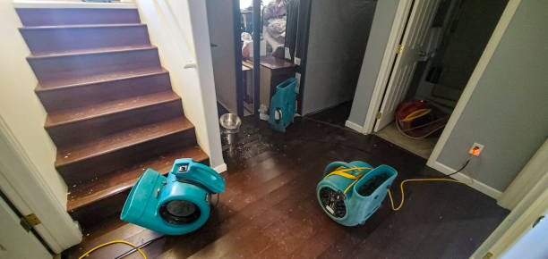 Best Mold removal after water damage  in Maywood Park, OR
