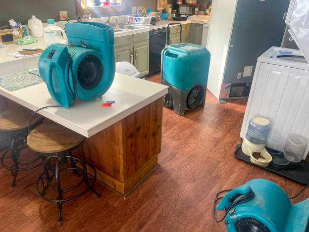 Best Water damage cleanup near me  in Maywood Park, OR
