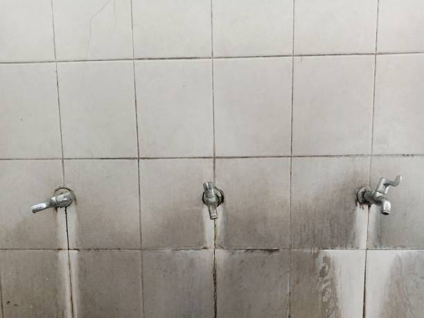 Best Water damage restoration process  in Maywood Park, OR