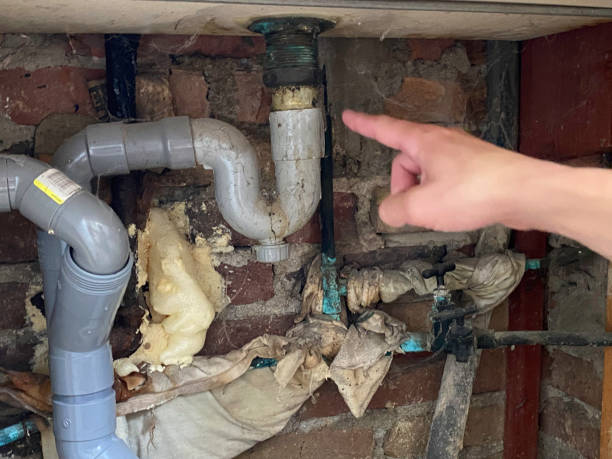 Best Water damage restoration cost  in Maywood Park, OR